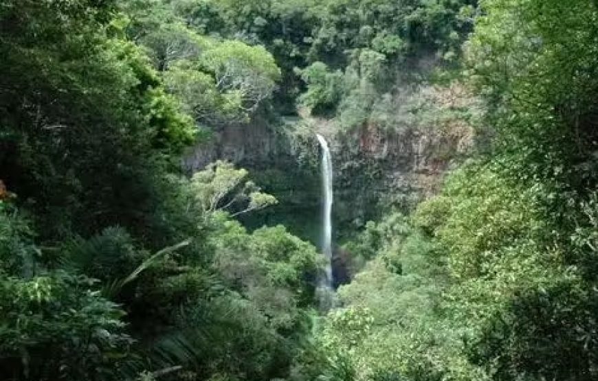 Private Northern Madagascar Colors Tour